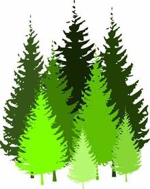 Biomass is trees's avatar