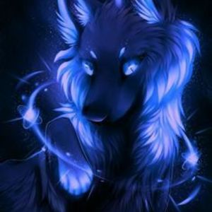 // luna //'s avatar